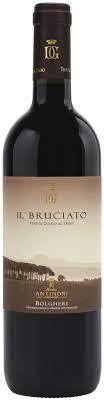 bruciato bolgheri antinori