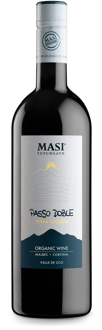 MASI PASSO DOBLE 2023